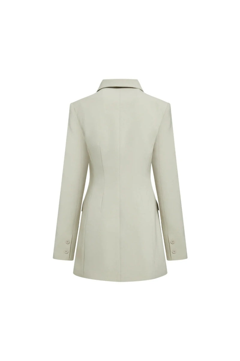 Cheri Long Sleeve Mini Dress