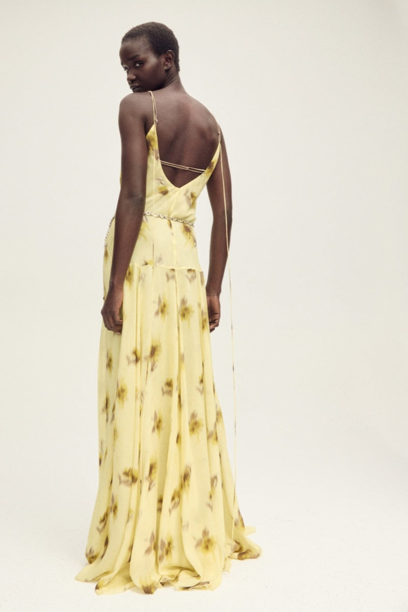 Capsule Chiffon Maxi Dress