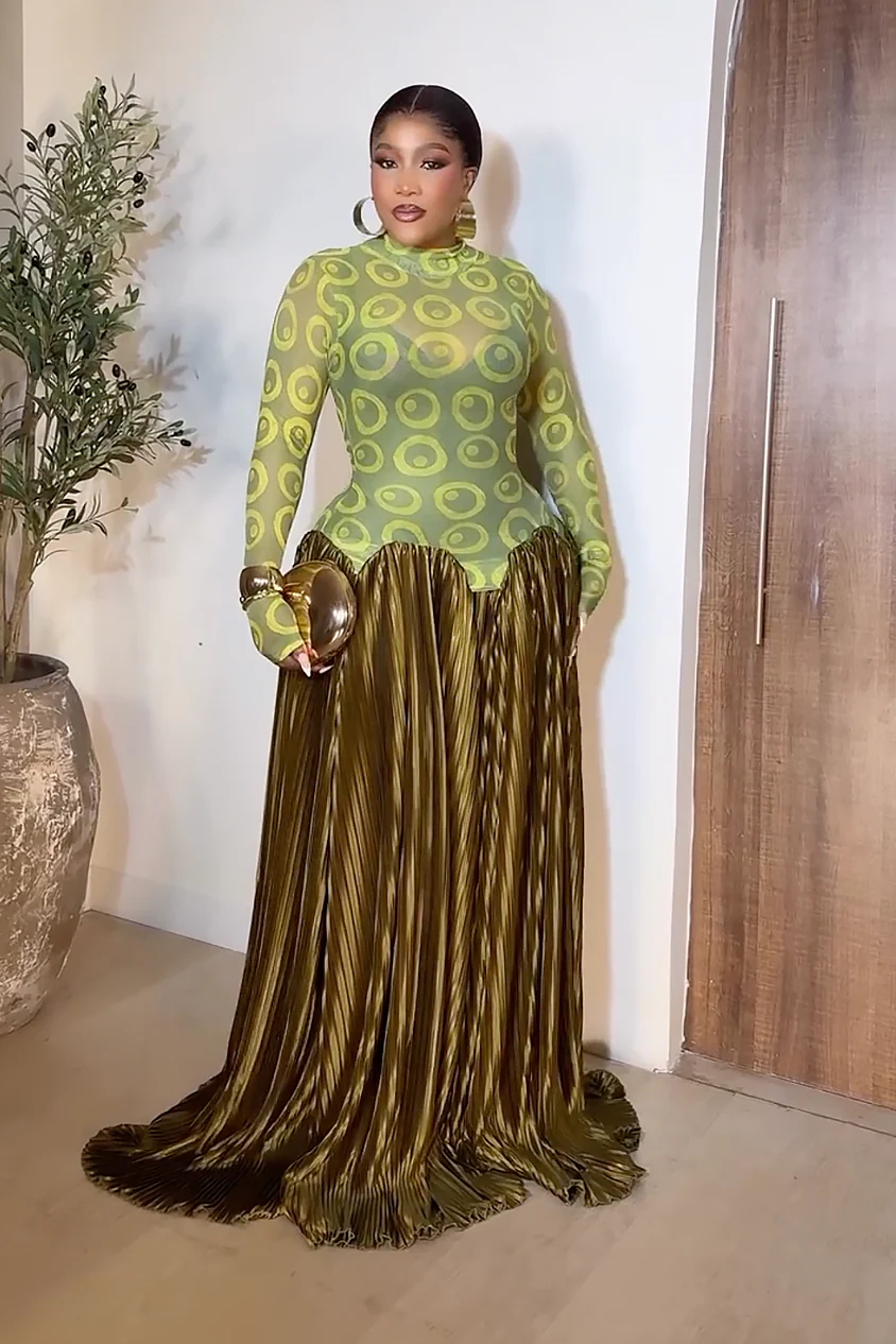 Mesh Panel Retro Pleated Maxi Dress