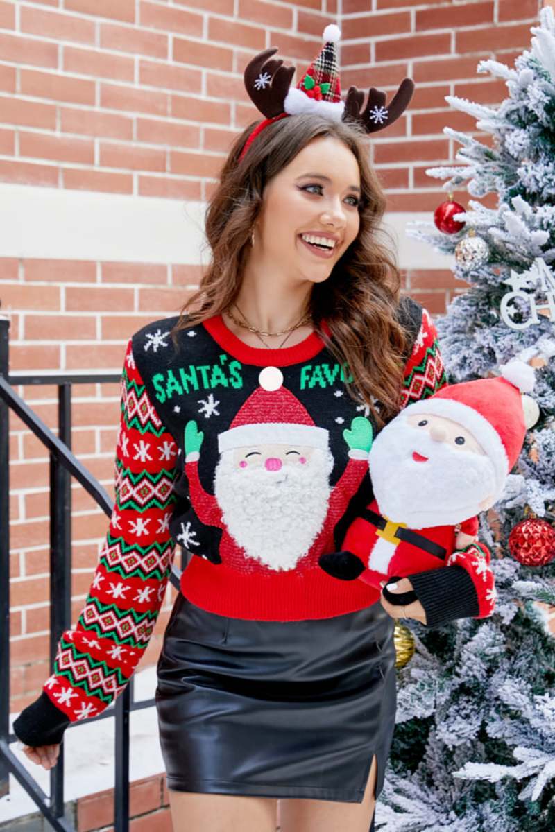 Embroidered Santa Claus Pattern Casual Crew Neck Knit Sweater