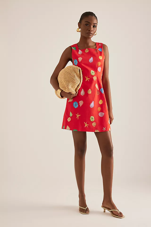 Ioana Printed Mini Dress