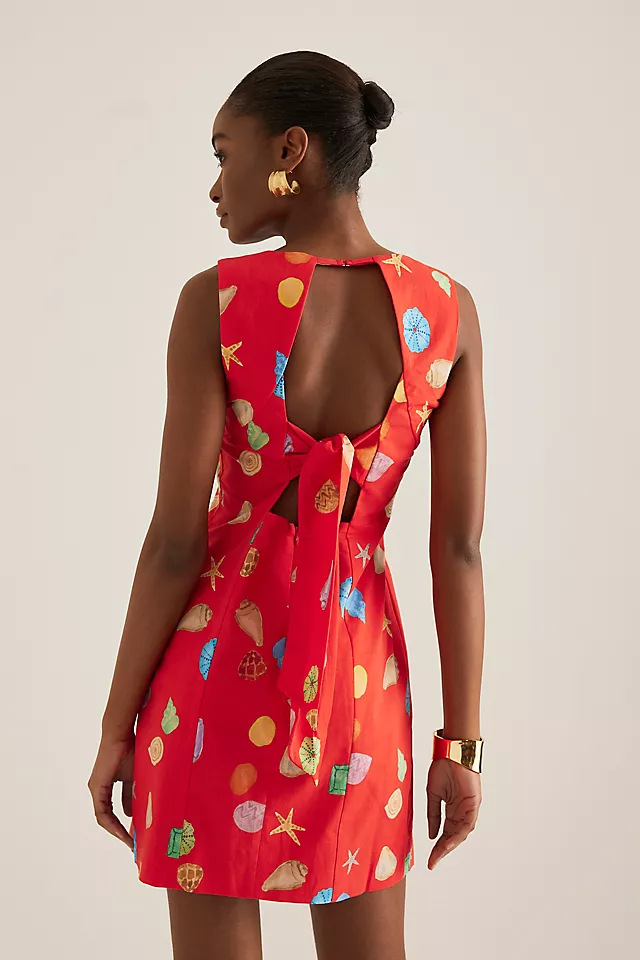 Ioana Printed Mini Dress