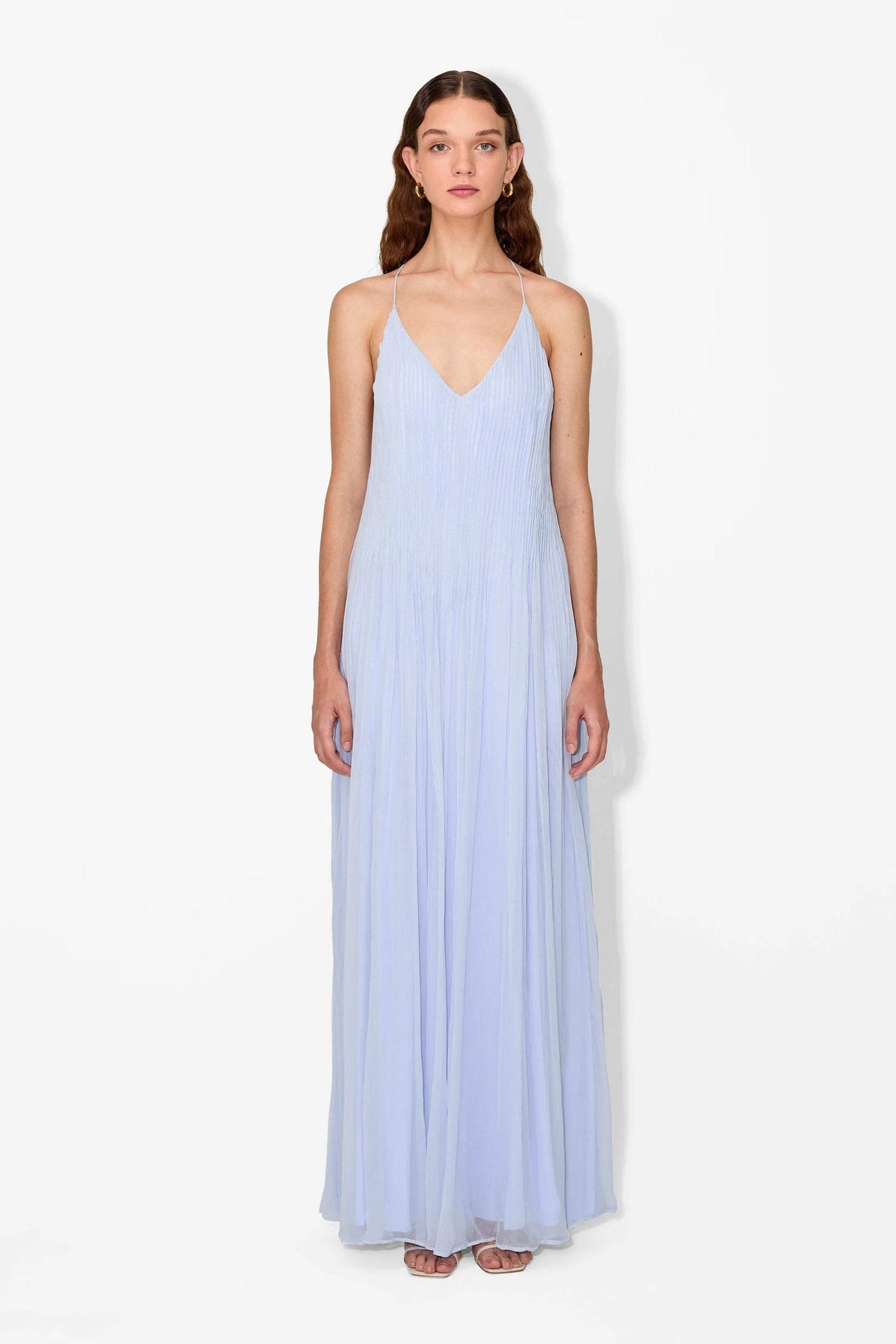 hydrangea maxi dress Haydin Maxi Dress
