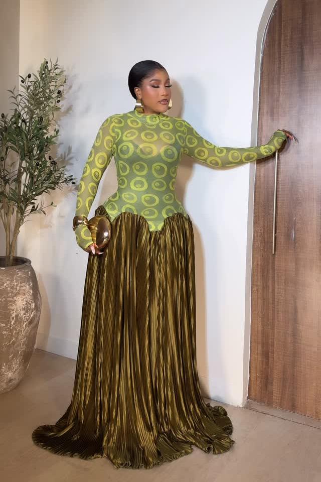 Mesh Panel Retro Pleated Maxi Dress