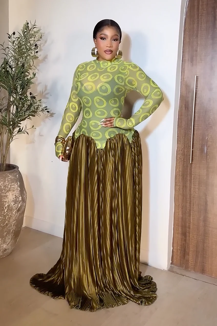 Mesh Panel Retro Pleated Maxi Dress